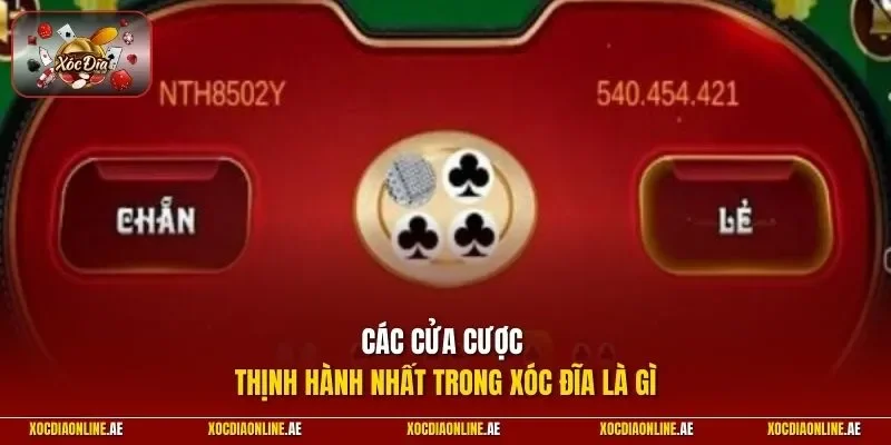 Các cửa cược thịnh hành nhất trong xóc đĩa là gì